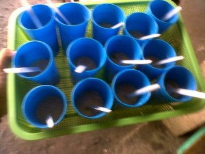 1622855_10202975942868803_920595306_n