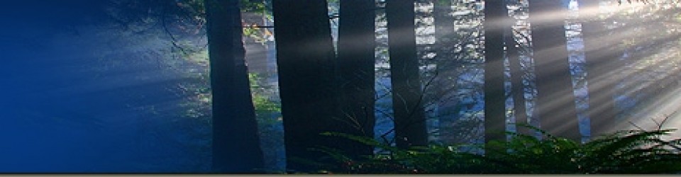 header_right